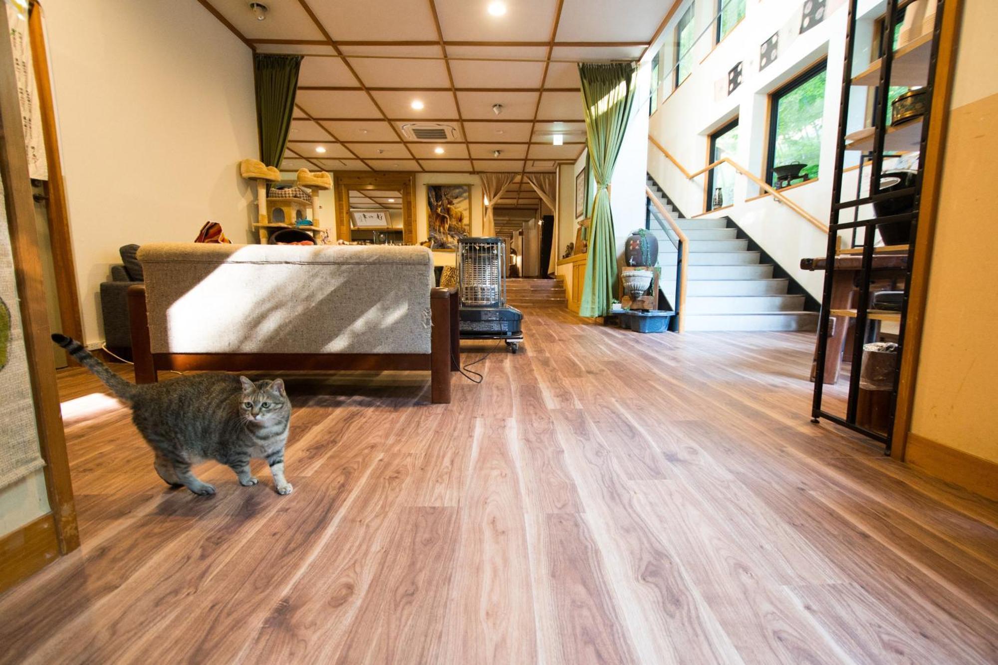 Akasawa Onsen Ryokan 나스시오바라 외부 사진