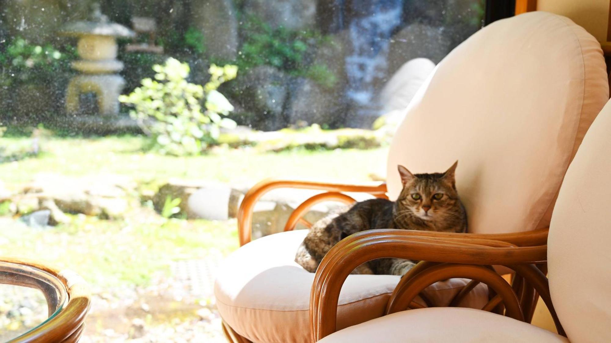 Akasawa Onsen Ryokan 나스시오바라 외부 사진